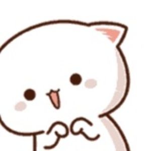 Meet your Posher, Hayle